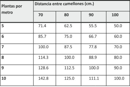 Cuadro 2. Población de plantas por hectárea (miles) a diferente espaciamiento entre camellones y plantas por metro lineal.