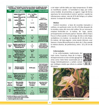 Agenda 2019 - Información agronómica Maíz