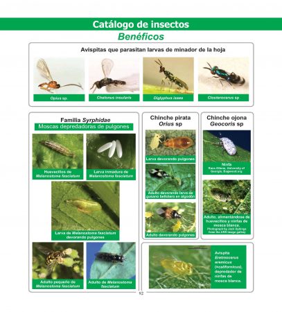 Agenda 2019 – Catálogo de Insectos Benéficos
