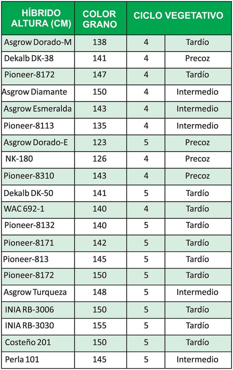 Guía para producir en primavera Panorama AGROPECUARIO
